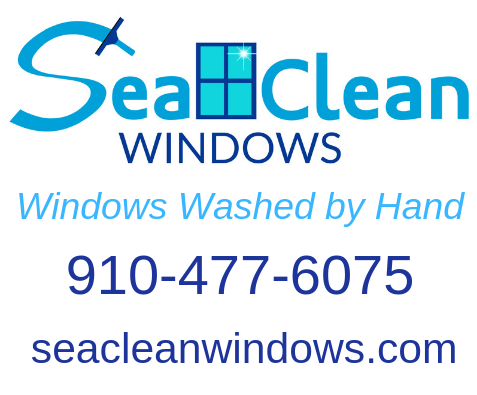 Windows Washed cropped logo with tagline and number